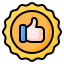 icons8-quality-64
